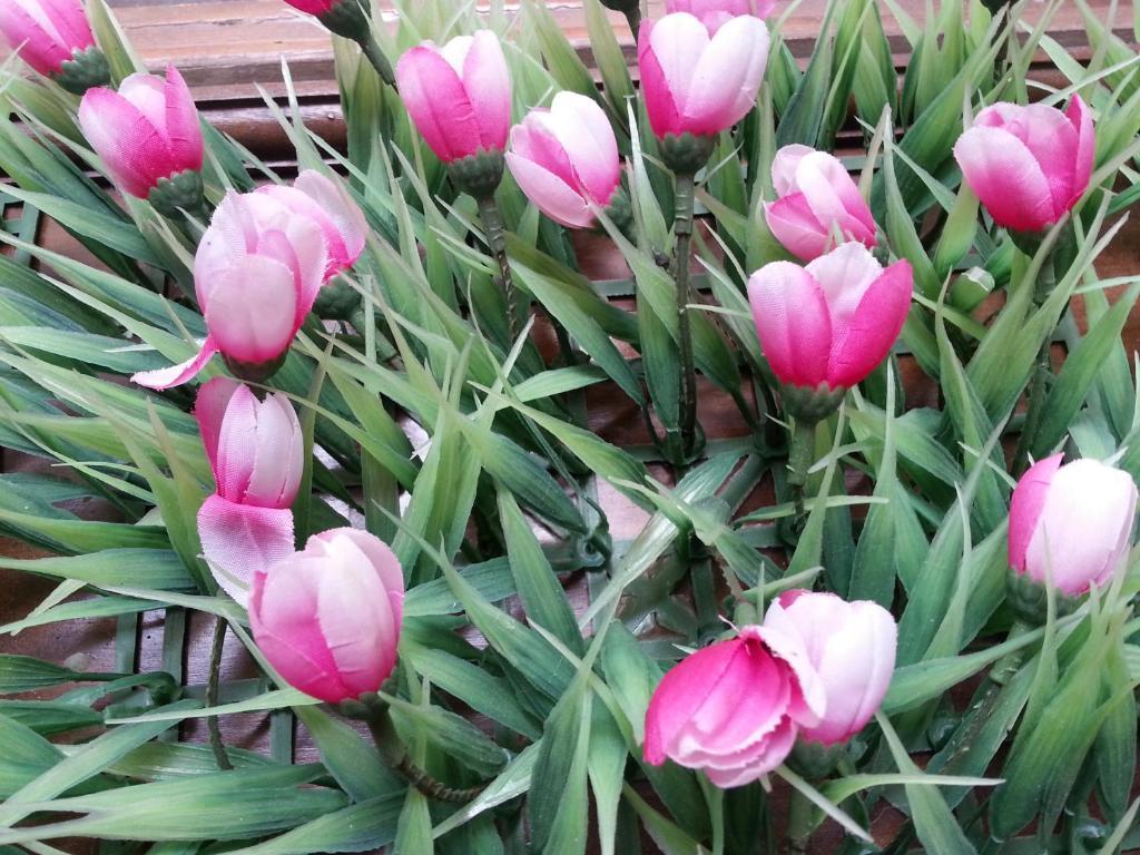 مدينة هوشي منه Pink Tulip Hotel المظهر الخارجي الصورة